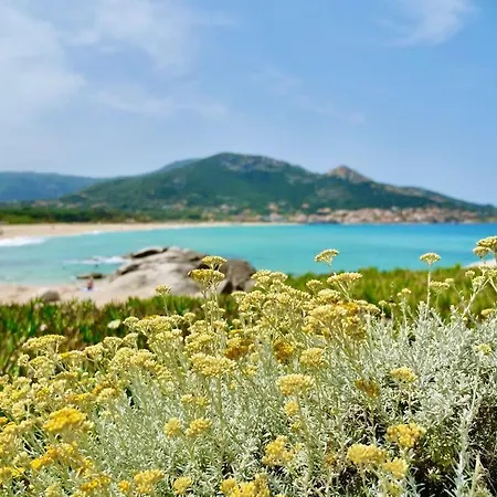 Minera 호텔 몽티셀로