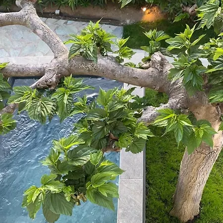 Hotel Minera Monticello