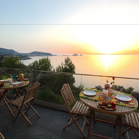 Minera Hotel 4*