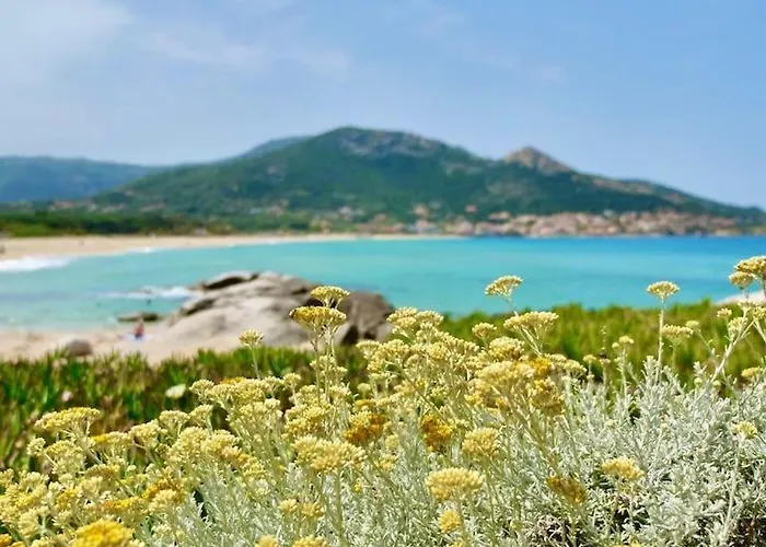 Minera Hotel Monticello