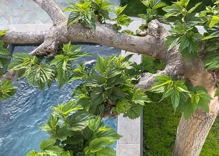 Hotel Minera Monticello